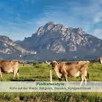 Appartement Biohof Stoeger Adults Only Mit Blick Auf Schloss Neuschwanstein Und Alpen Nur 2 Einheiten Rieden