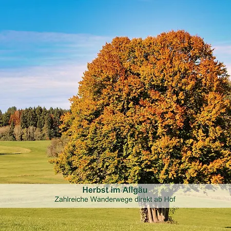 Stoeger - Adults Only Mit Einzigartigem Panoramablick Auf See, Alpen Und Schloss Neuschwanstein - Nur 2 Einheiten * 리덴