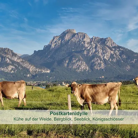 아파트 Stoeger - Adults Only Mit Einzigartigem Panoramablick Auf See, Alpen Und Schloss Neuschwanstein - Nur 2 Einheiten 리덴