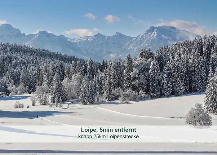 아파트 Biohof Stoeger Adults Only Mit Blick Auf Schloss Neuschwanstein Und Alpen Nur 2 Einheiten *