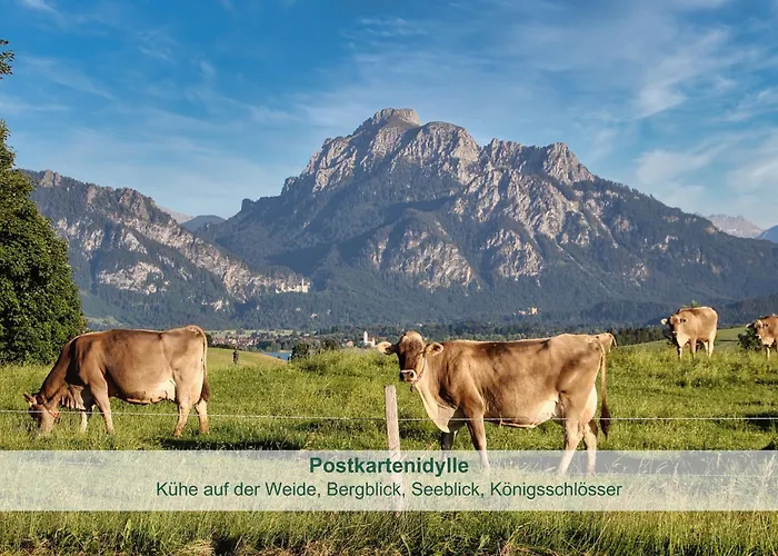 아파트 Biohof Stoeger Adults Only Mit Blick Auf Schloss Neuschwanstein Und Alpen Nur 2 Einheiten 리덴