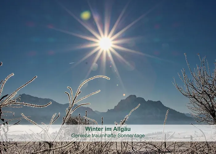 아파트 Biohof Stoeger Adults Only Mit Blick Auf Schloss Neuschwanstein Und Alpen Nur 2 Einheiten *